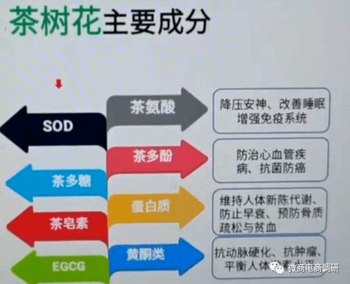 海外上市隐忧与行业变动 亚茶控股、合益全息对中农绿源及日用百货销售的影响分析
